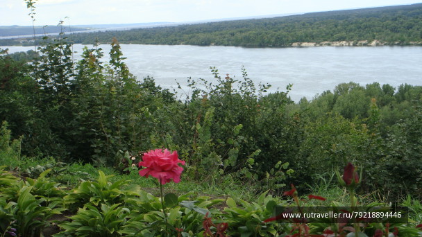 photo 255703