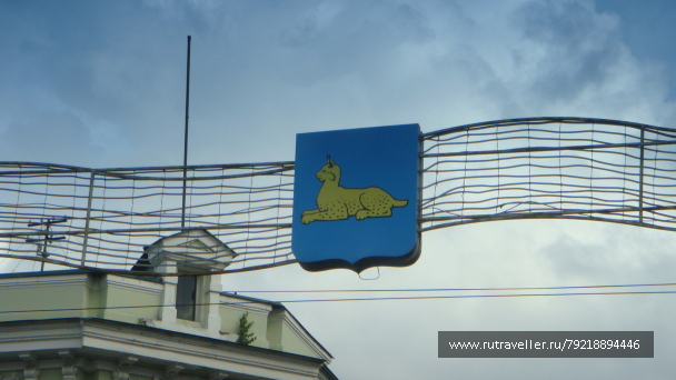 photo 255818
