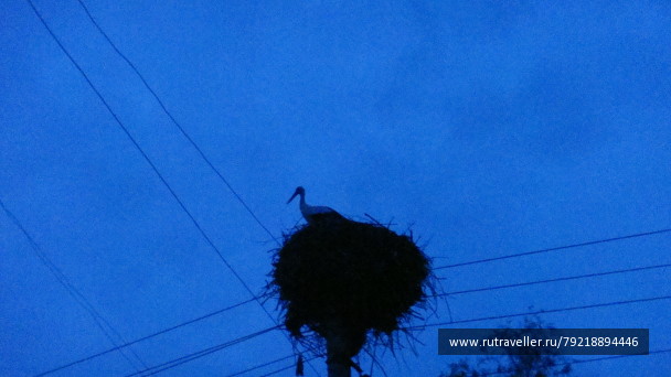 photo 256138