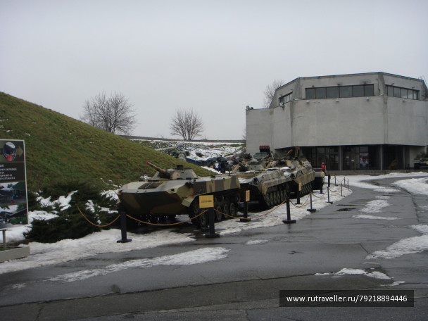 photo 256178