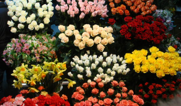DSC00896