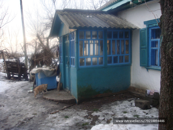 photo 256195