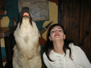 photo 256199