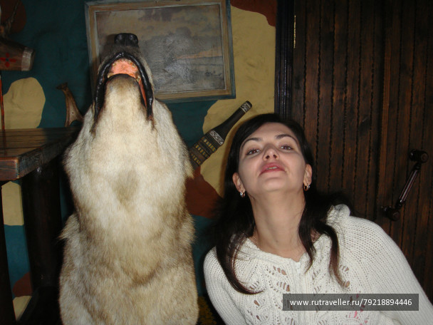 photo 256199