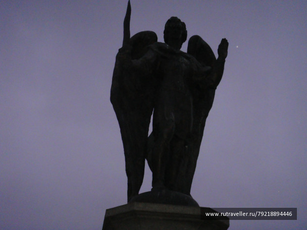 photo 256271