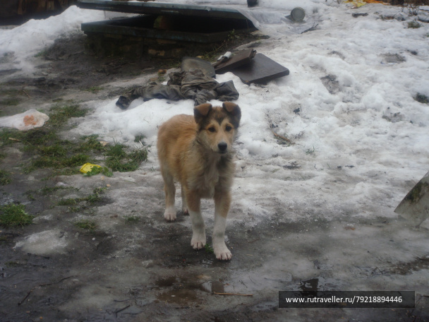 photo 256273