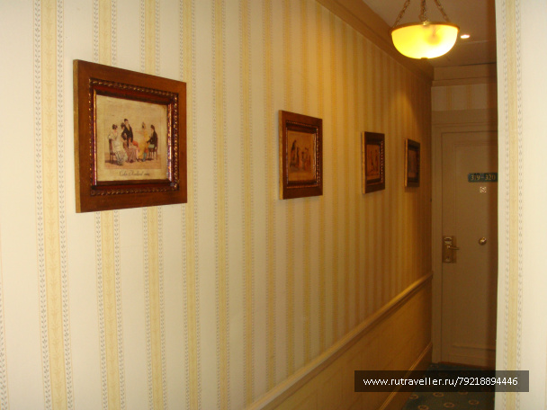 photo 256362