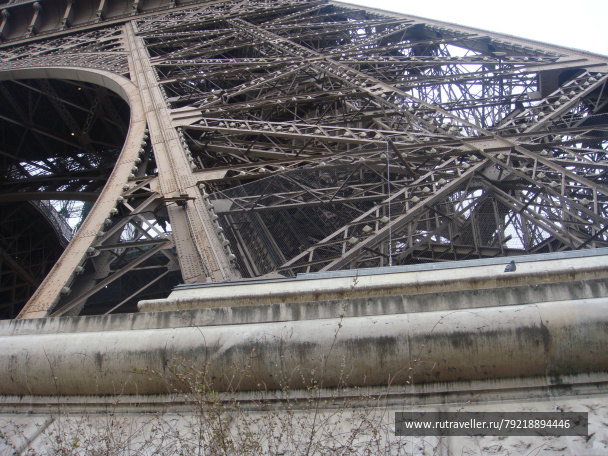 photo 256390