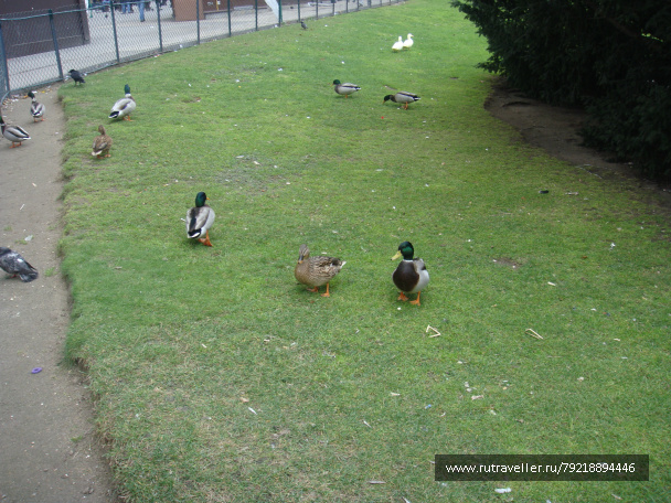 photo 256394