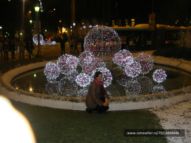 photo 256489