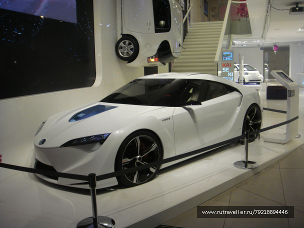 photo 256493