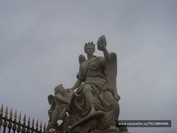 photo 256524