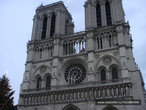 photo 256553
