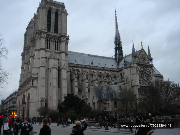 photo 256557
