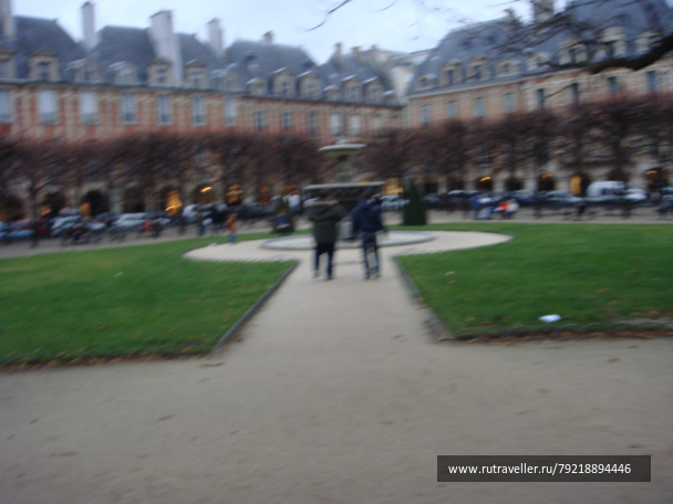 photo 256564