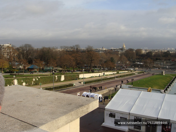 photo 256571