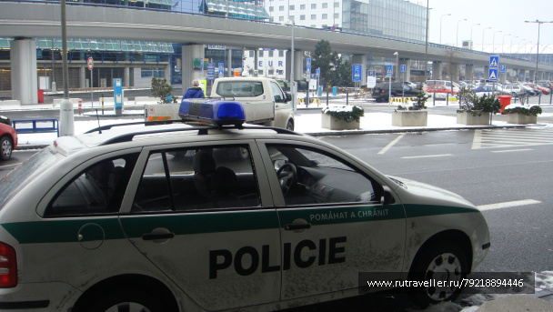 photo 256769