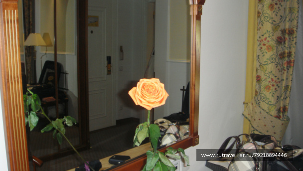 photo 256773