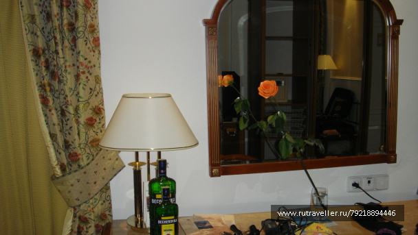 photo 256778