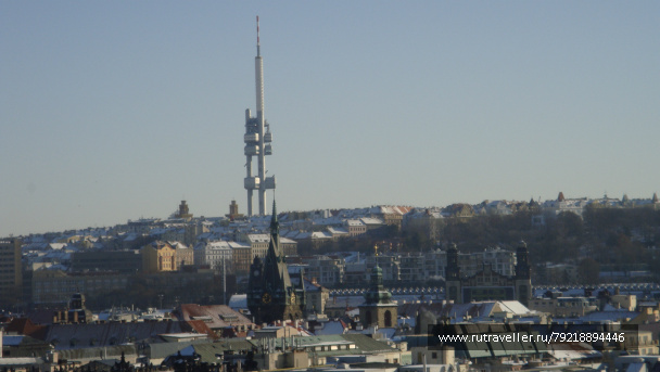 photo 256823