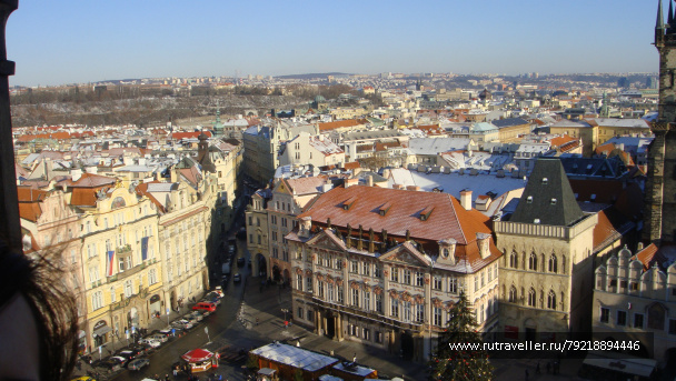photo 256833