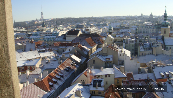 photo 256843