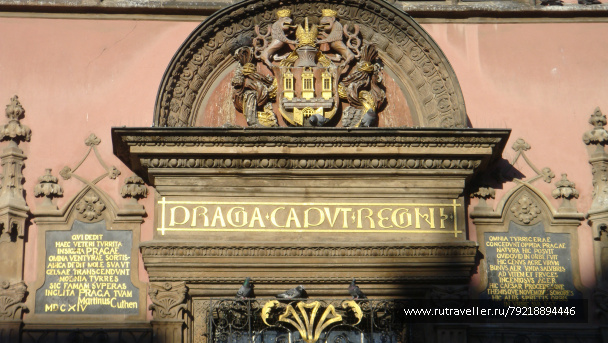 photo 256867