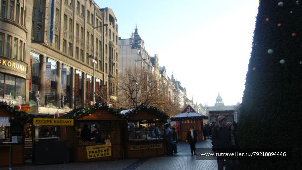 photo 256880