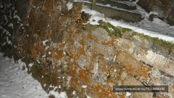 photo 256882