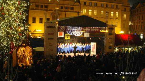 photo 256943