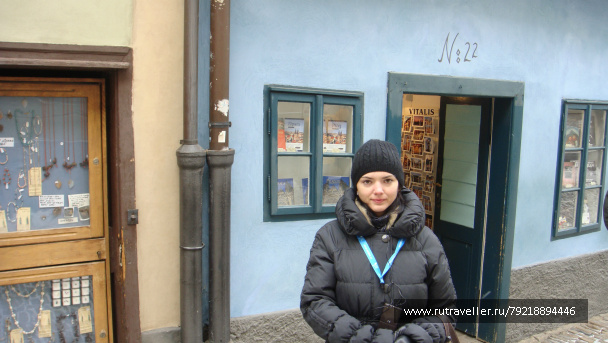 photo 256960