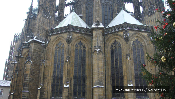 photo 256962