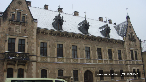 photo 256963