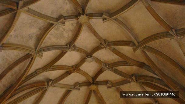 photo 256972