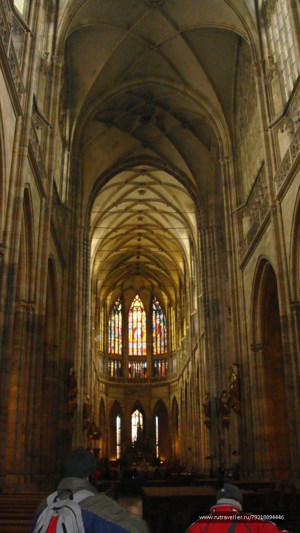 photo 256998