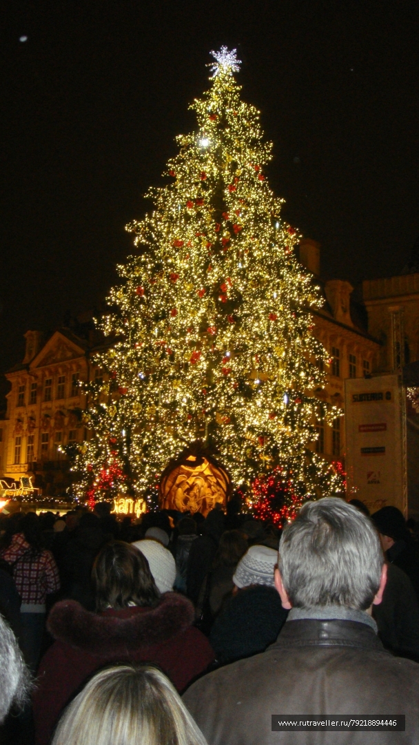 photo 256946