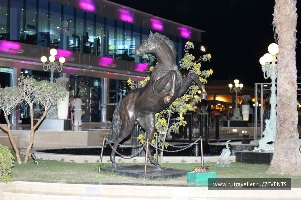 photo 278270