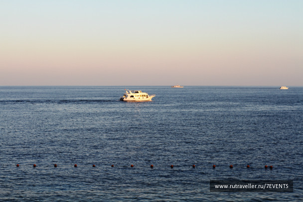 photo 278282
