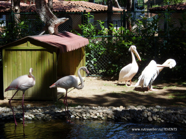 photo 280188