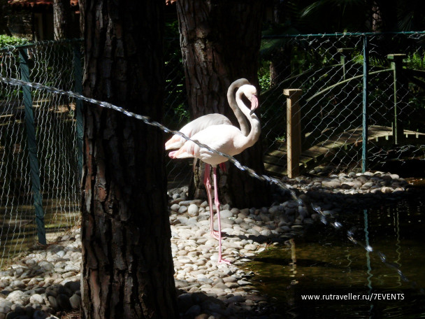 photo 280192