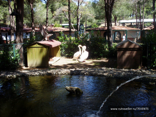 photo 280193