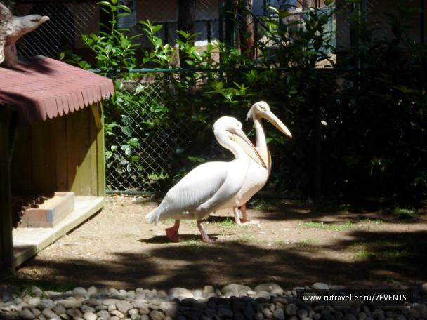 photo 280194