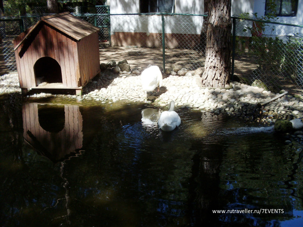photo 280195
