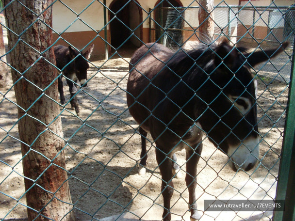 photo 280197