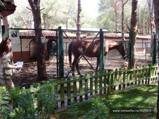 photo 280199