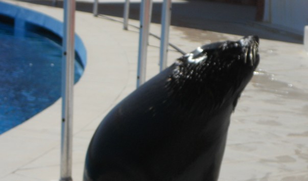 DSCN0637