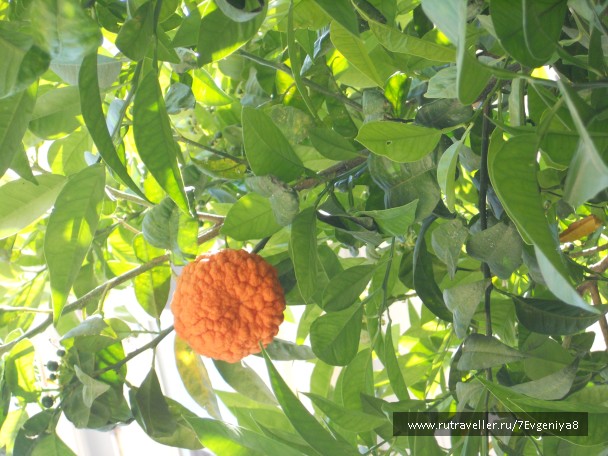 photo 764437