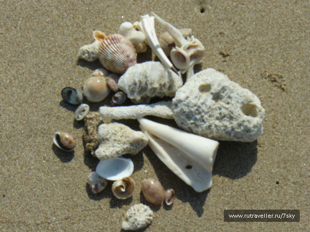 photo 201660