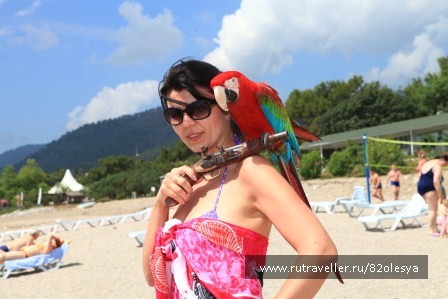 photo 370122