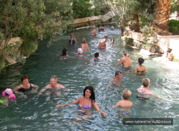 photo 467862